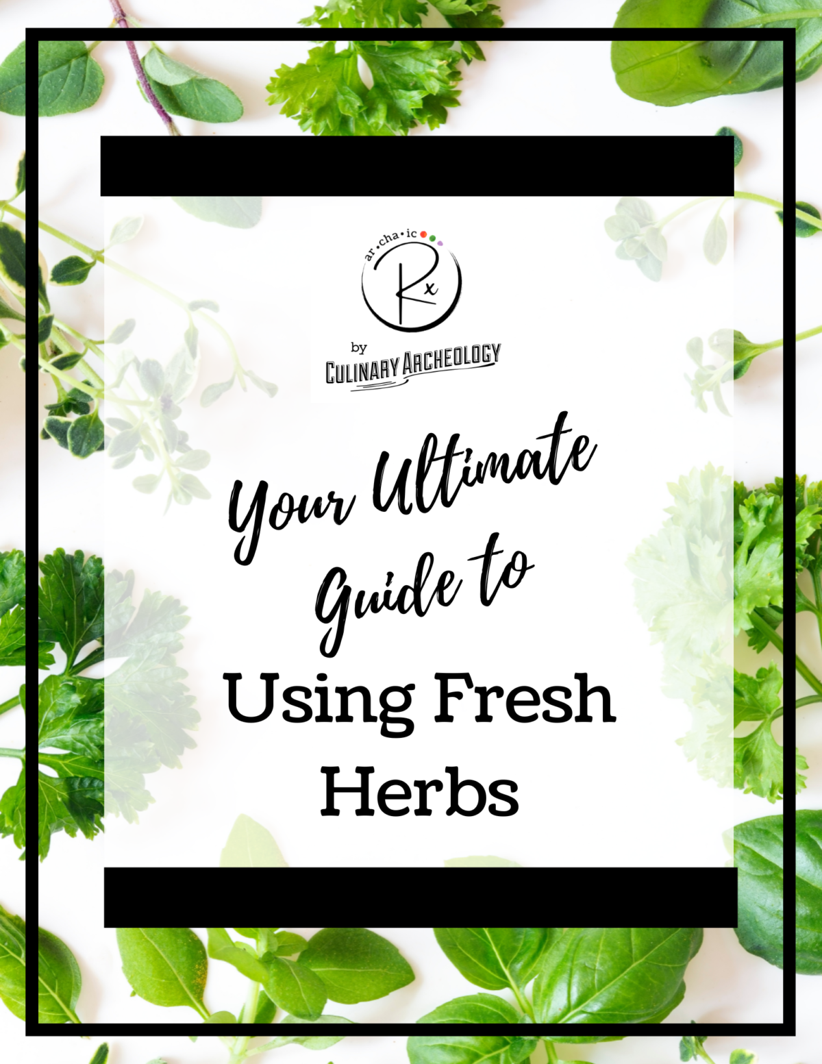 Guide to Using Fresh Herbs Culinary Archeology