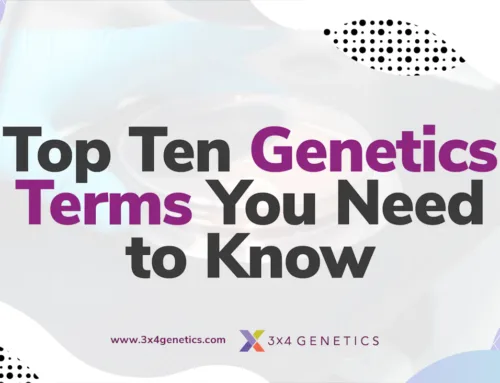 Top Genetics Terms You Need to Know – Nutrition and Genetics